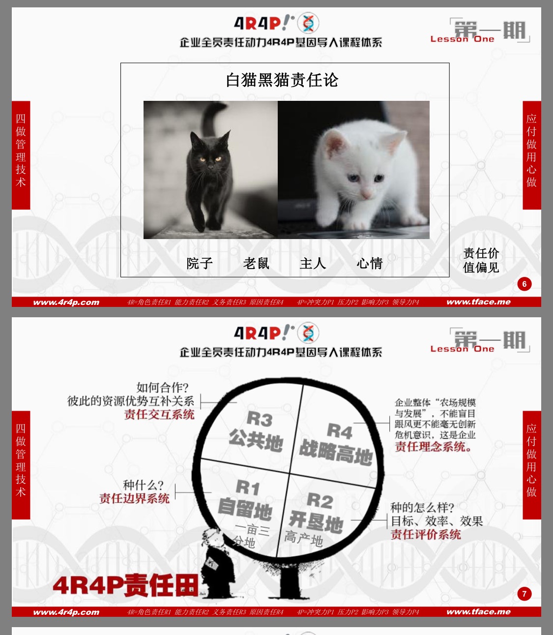 白猫黑猫“煮酒论”英雄